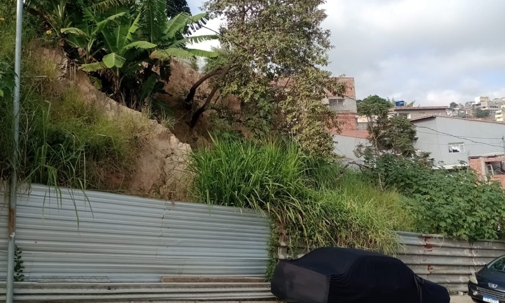 WhatsApp Image 2025-06-25 at 15.12.27