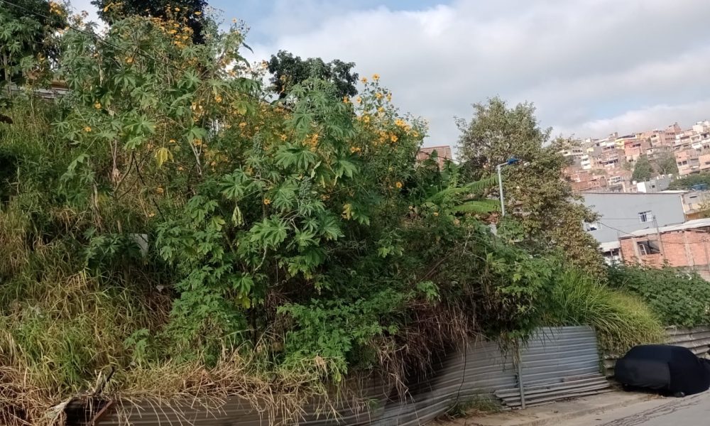 WhatsApp Image 2025-06-25 at 15.12.28 (2)